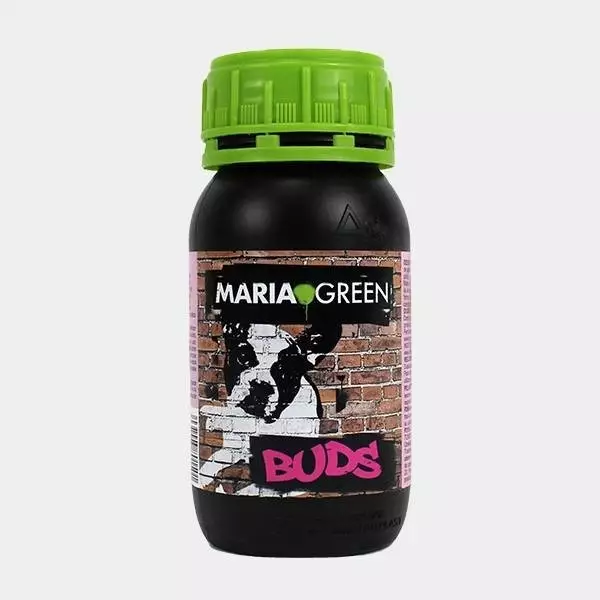 Sicht Knospen 100% natürliches Wachstum von Maria Green - Günstig Wachsen