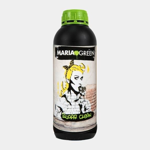 Zucker sauber Bio von Maria Green - Wurzeln waschen - Billig wachsen