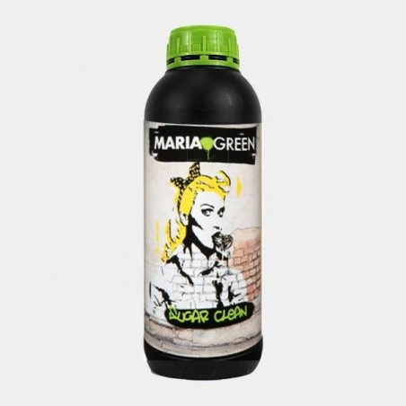 Zucker sauber Bio von Maria Green - Wurzeln waschen - Billig wachsen