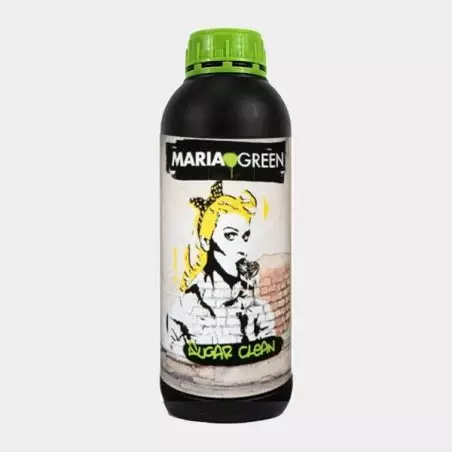 Zucker sauber Bio von Maria Green - Wurzeln waschen - Billig wachsen