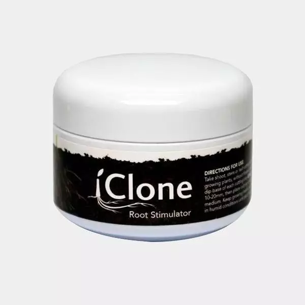 iClone Gel iClone Gel