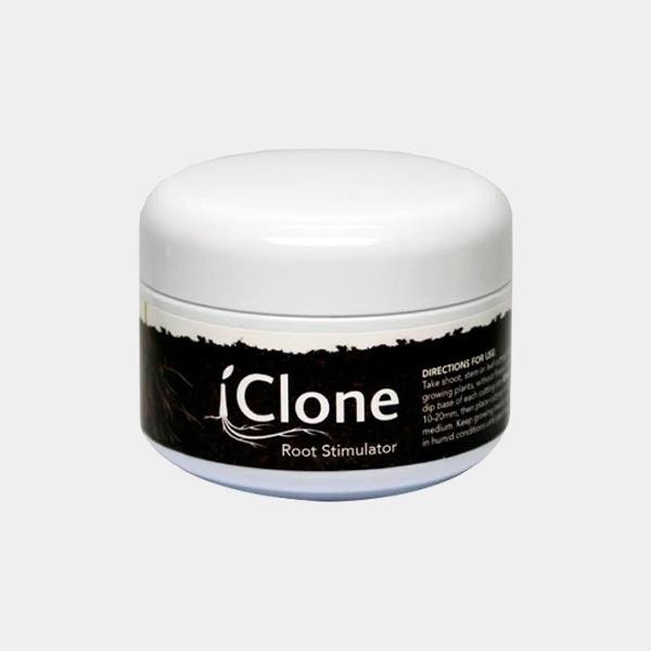iClone Gel