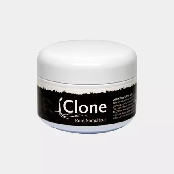 iClone Gel iClone Gel