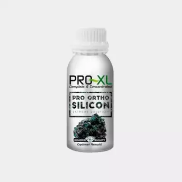 Pro Ortho Silicon von Pro XL, um Silizium auf Cannabis anzuwenden