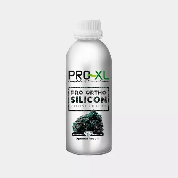 Pro Ortho Silicon Pro XL