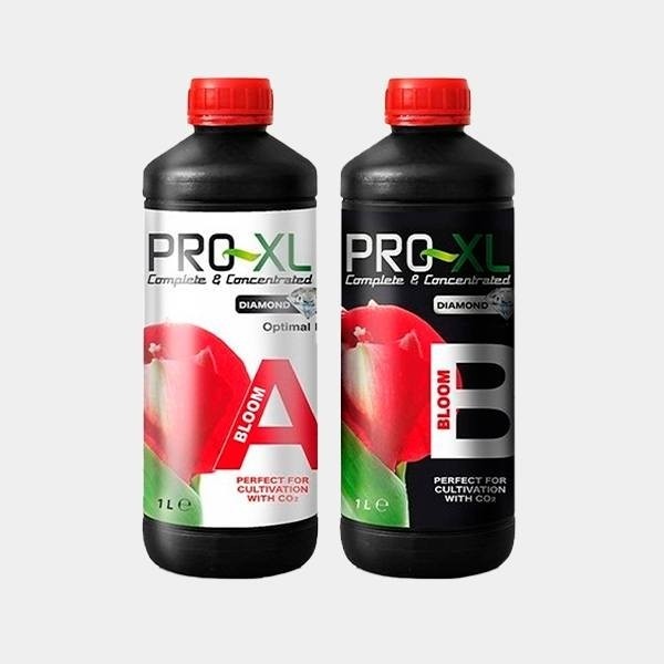 Bloom A+B Blütendünger von Pro XL - Billig Wachsen
