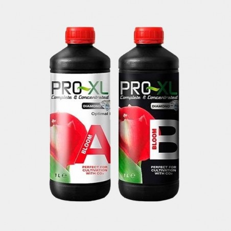 Bloom A+B Blütendünger von Pro XL - Billig Wachsen