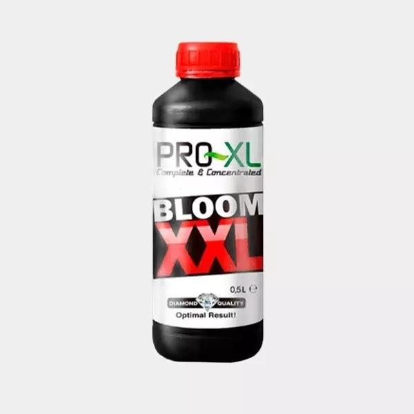 Bloom XXL Pro XL Wachstumsförderer - Günstiges Wachstum