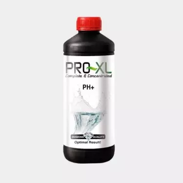 PH+ zum Erhöhen der Acidität des Wassers von Pro XL - GB The Green Brand