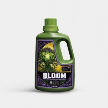 Bloom Prof 3 Teile