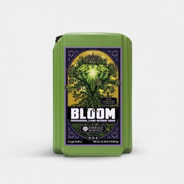 Bloom Prof 3 Teile