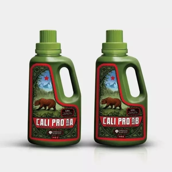 Sicht Cali Pro Bloom A+B von Emerald Haverst - GB The Green Brand
