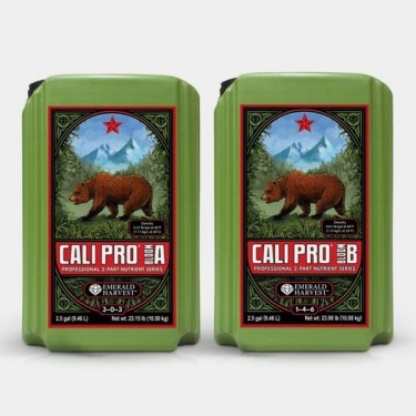 Cali Pro Bloom A+B