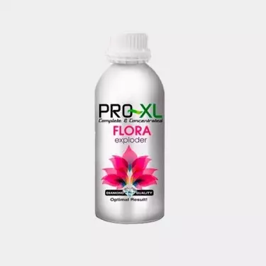 Flora Exploder PK für das Mastfutter von Pro XL - Günstig Wachsen