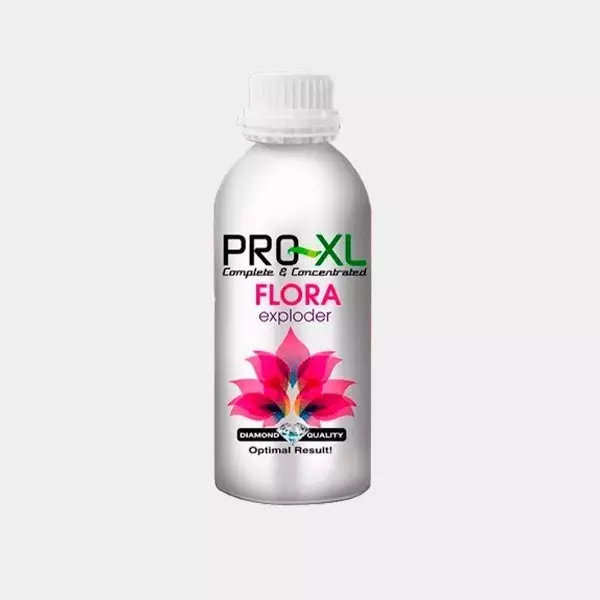 Flora Exploder PK für das Mastfutter von Pro XL - Günstig Wachsen