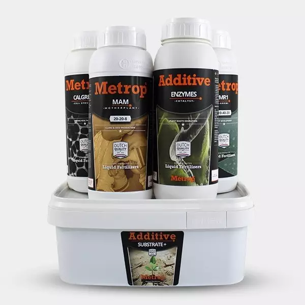 Mothers Kit Metrop (Mütter)