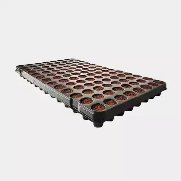 Coco Stecklings Tablett 104 Zellen - GB The Green Brand