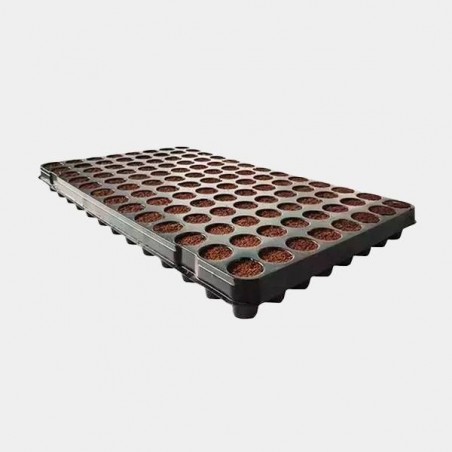 Coco Stecklings Tablett 104 Zellen - GB The Green Brand