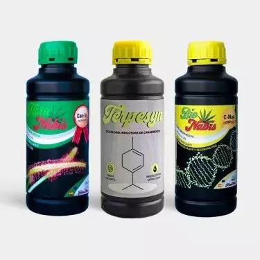 Holen Sie sich das Tripack Extraktion von Terranabis - Günstig wachsen