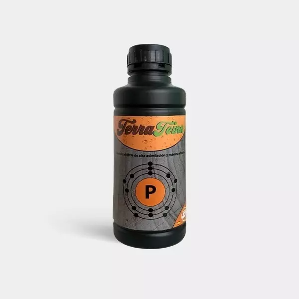 Sicht Terrateina von Terranabis Phosphor zu 49% - Günstiges Grow