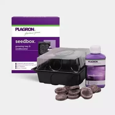 SeedBox-Kit zum Keimen von Plagron-Samen - Günstig Anbauen