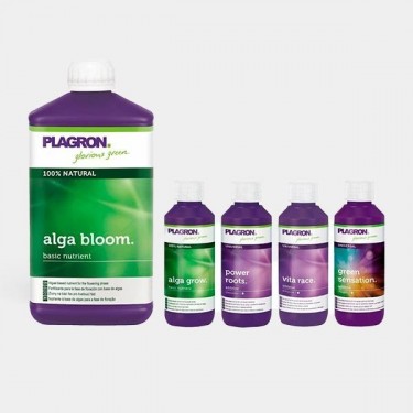 Top Grow Box Bio-Kit von Plagron - Günstiges Wachstum