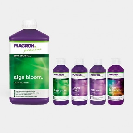 Top Grow Box Bio-Kit von Plagron - Günstiges Wachstum