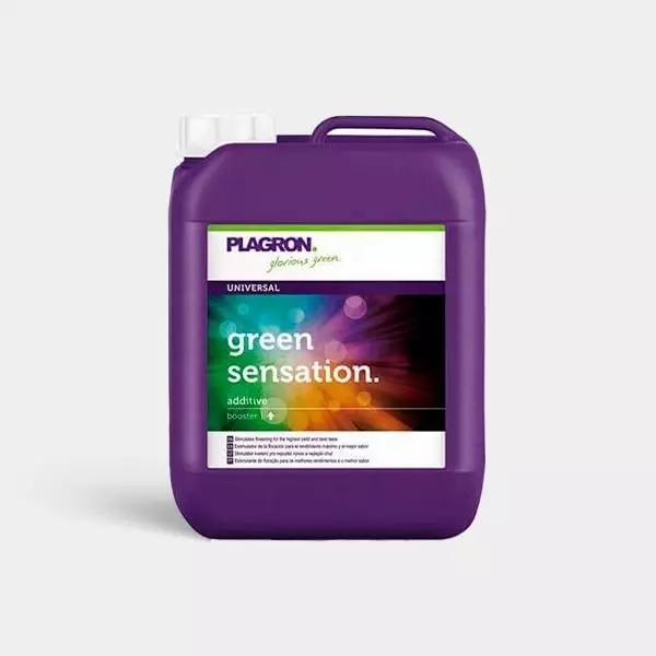 Green Sensation 5L