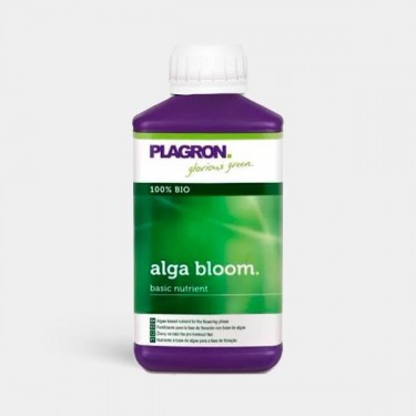 Alga Bloom