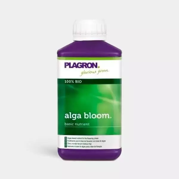 Alga Bloom