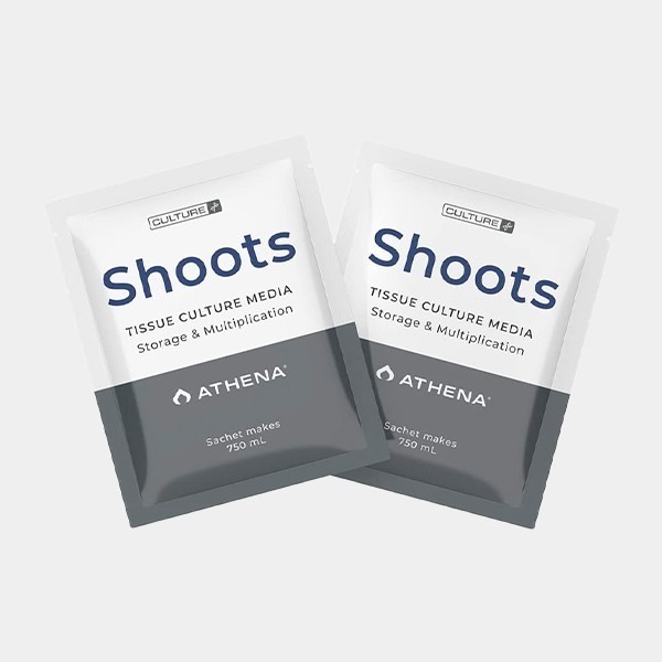 Athena Shoots Culture Media