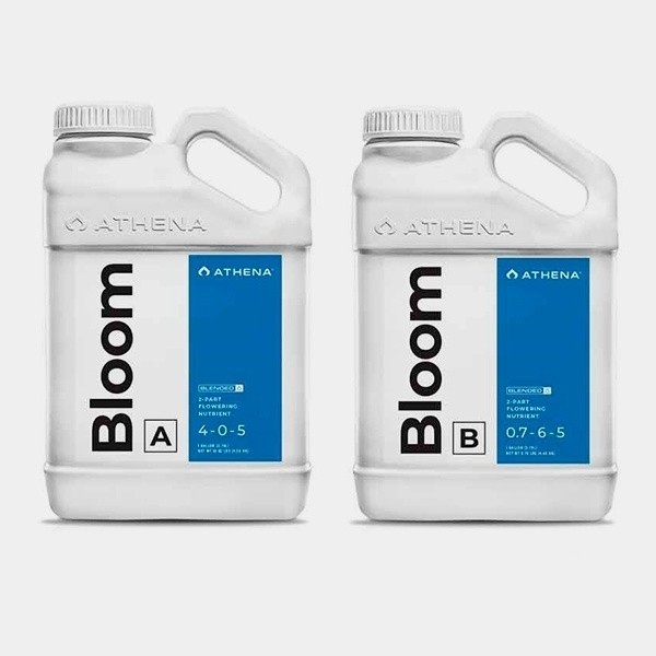 Athena Bloom A+B - GB The Green Brand