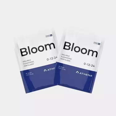 Athena Pro Bloom - GB The Green Brand