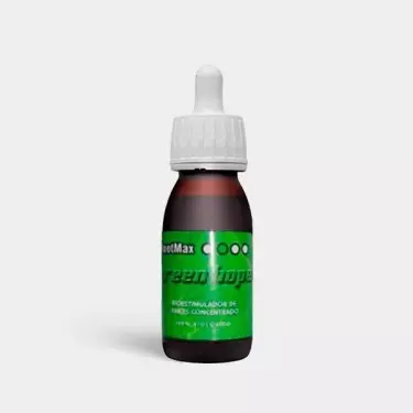 Root Max regt die Wurzeln von Green Hope an - Günstig Wachsen