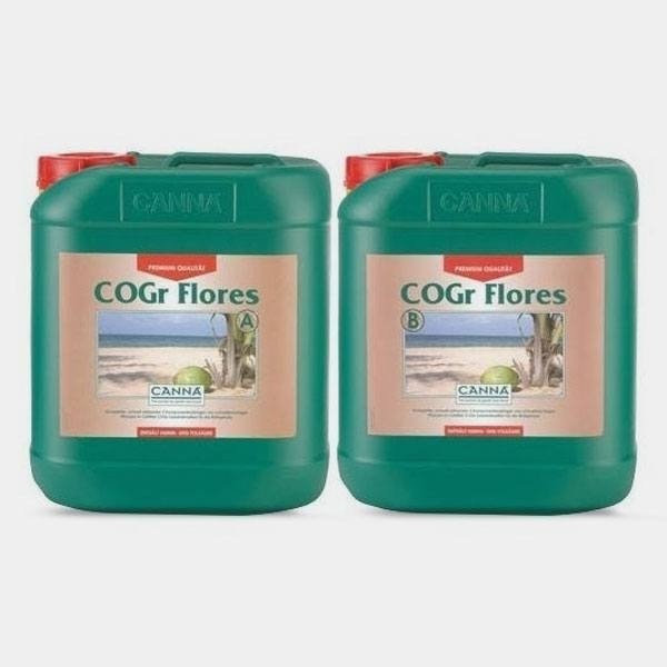 COGr Blumen A+B Kokosnuss