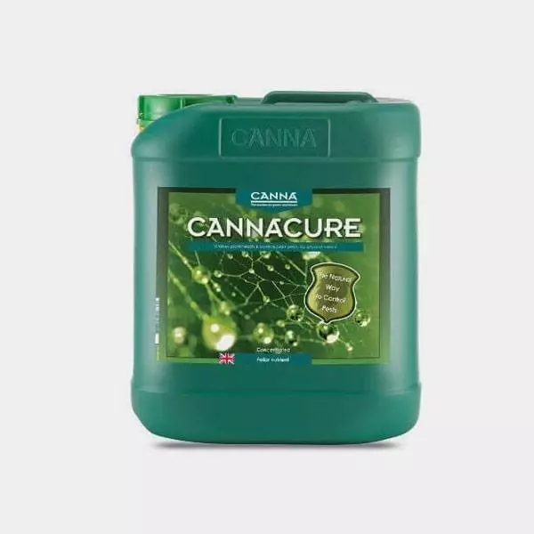 Canna Cure
