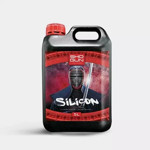 Silicon