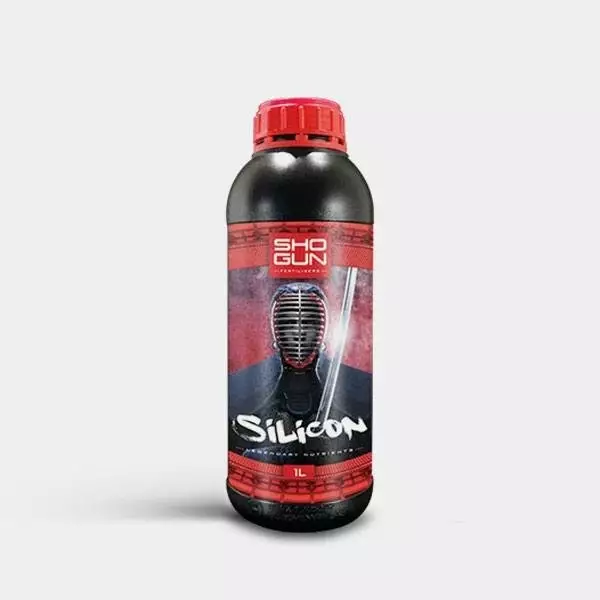 Silicon
