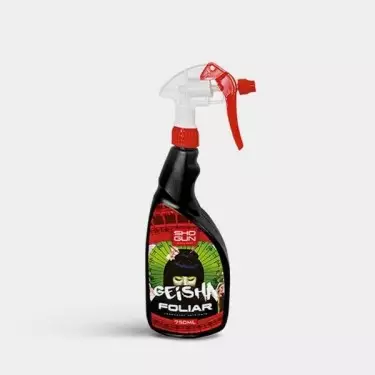 Geisha Blatt von Shogun Fertilisers UK - Kostengünstig wachsen