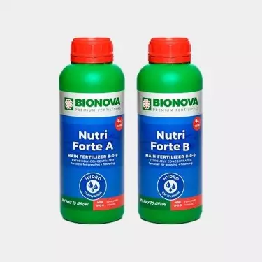 Nutri Forte A+B Dünger von Bio-Nova - Günstig anbauen