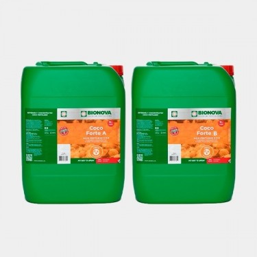 Coco Forte A+B
