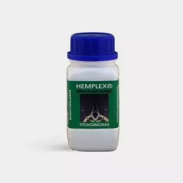 Hemplex, ein vielseitiger Stimulator von Trabe - Günstig anbauen