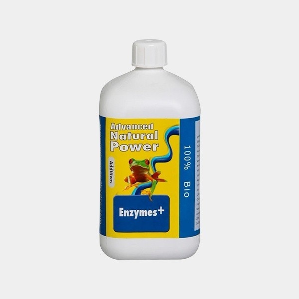 Enzyme+