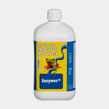 Enzyme+