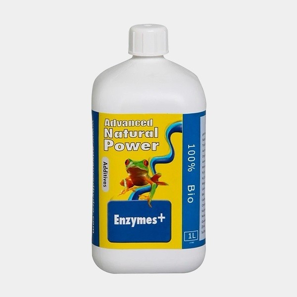 Enzyme+