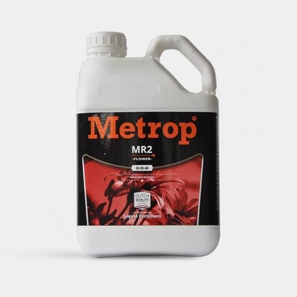 MR-2 Blüte