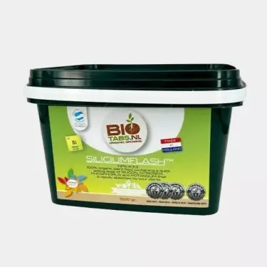 Silizium-Blitz der Marke BioTabs.NL - Günstig anbauen