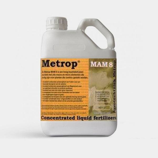 MaM 8 Mutterpflanzen