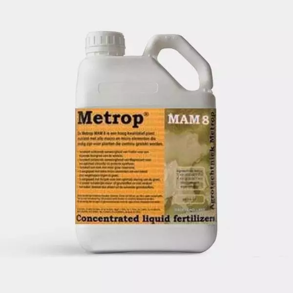 MaM 8 Mutterpflanzen