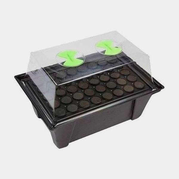 X-Stream Propagator